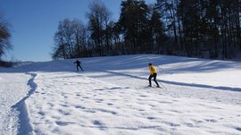 Langlaufen in Terenten De afbeelding toont twee personen die skiën op een met sneeuw bedekt terrein. De ene persoon draagt een gele jas, terwijl de ander zwart gekleed is; op de achtergrond zijn bomen en een heldere blauwe lucht te zien.