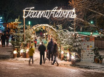 Rodeln in Terenten: Winterspaß pur Rodeln in Terenten: Winterspaß pur