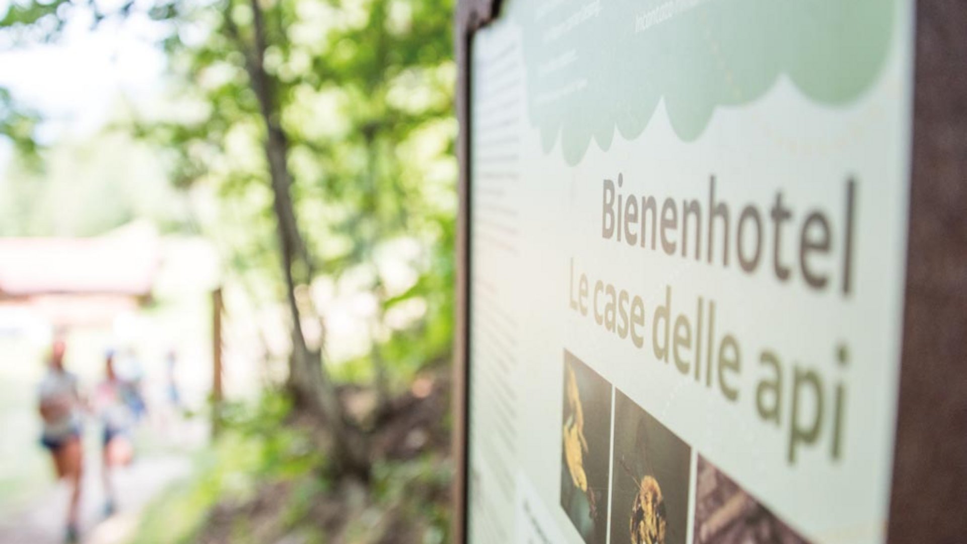 De Elfenweg bij Vintl De afbeelding toont een bord met de tekst "Bienenhotel" en de Italiaanse term "Le case delle api". Op de achtergrond zijn vaag mensen te zien in een bosgebied.