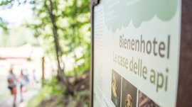 De Elfenweg bij Vintl De afbeelding toont een bord met de tekst "Bienenhotel" en de Italiaanse term "Le case delle api". Op de achtergrond zijn vaag mensen te zien in een bosgebied.