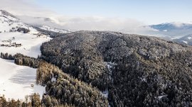 Terenten im Pustertal Verschneiter Bergwald in einem Wintertag mit Bergen im Hintergrund