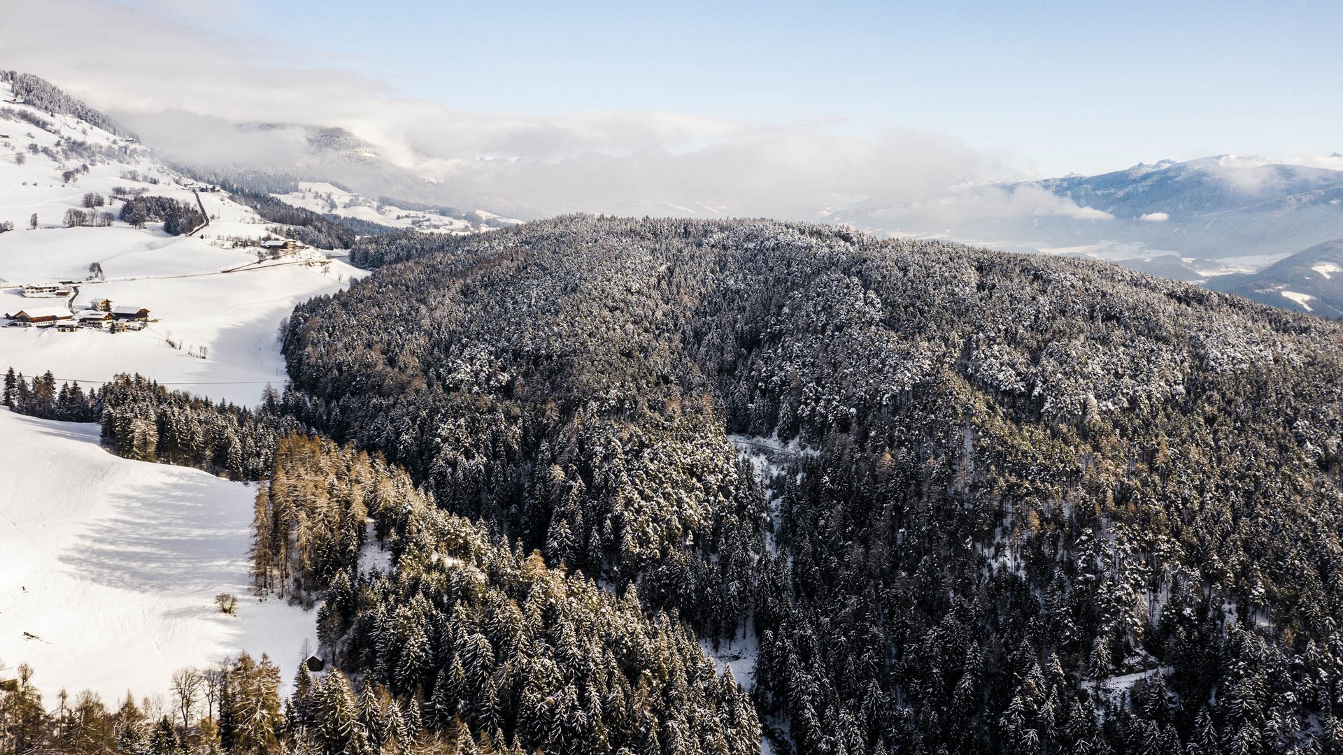 Terenten im Pustertal Verschneiter Bergwald in einem Wintertag mit Bergen im Hintergrund
