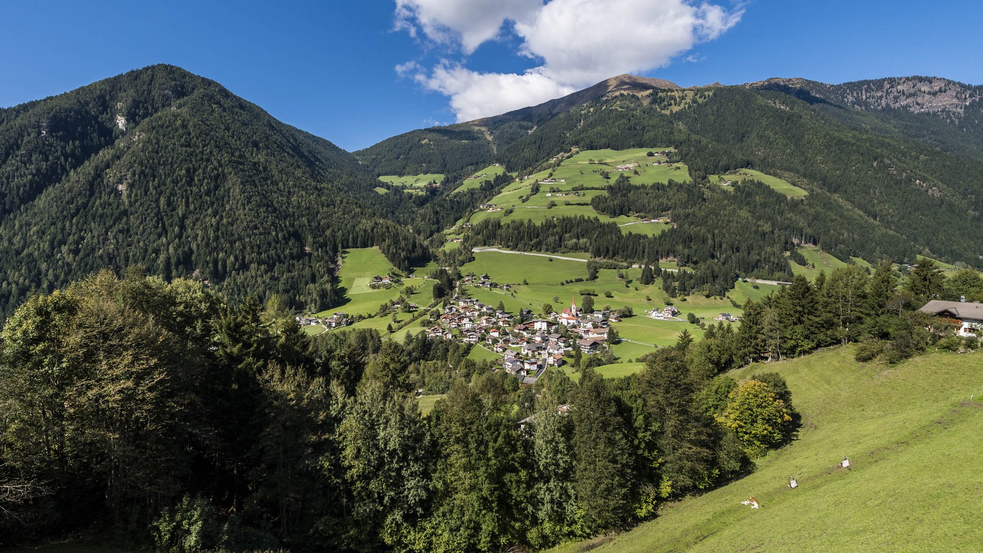 Pfunders: urig und idyllisch Das Bild zeigt ein grünes, hügeliges Tal mit einem kleinen Dorf in der Mitte, umgeben von dichten Wäldern und hohen Bergen. Die Szenerie ist ruhig und idyllisch unter einem strahlend blauen Himmel mit ein paar weißen Wolken.