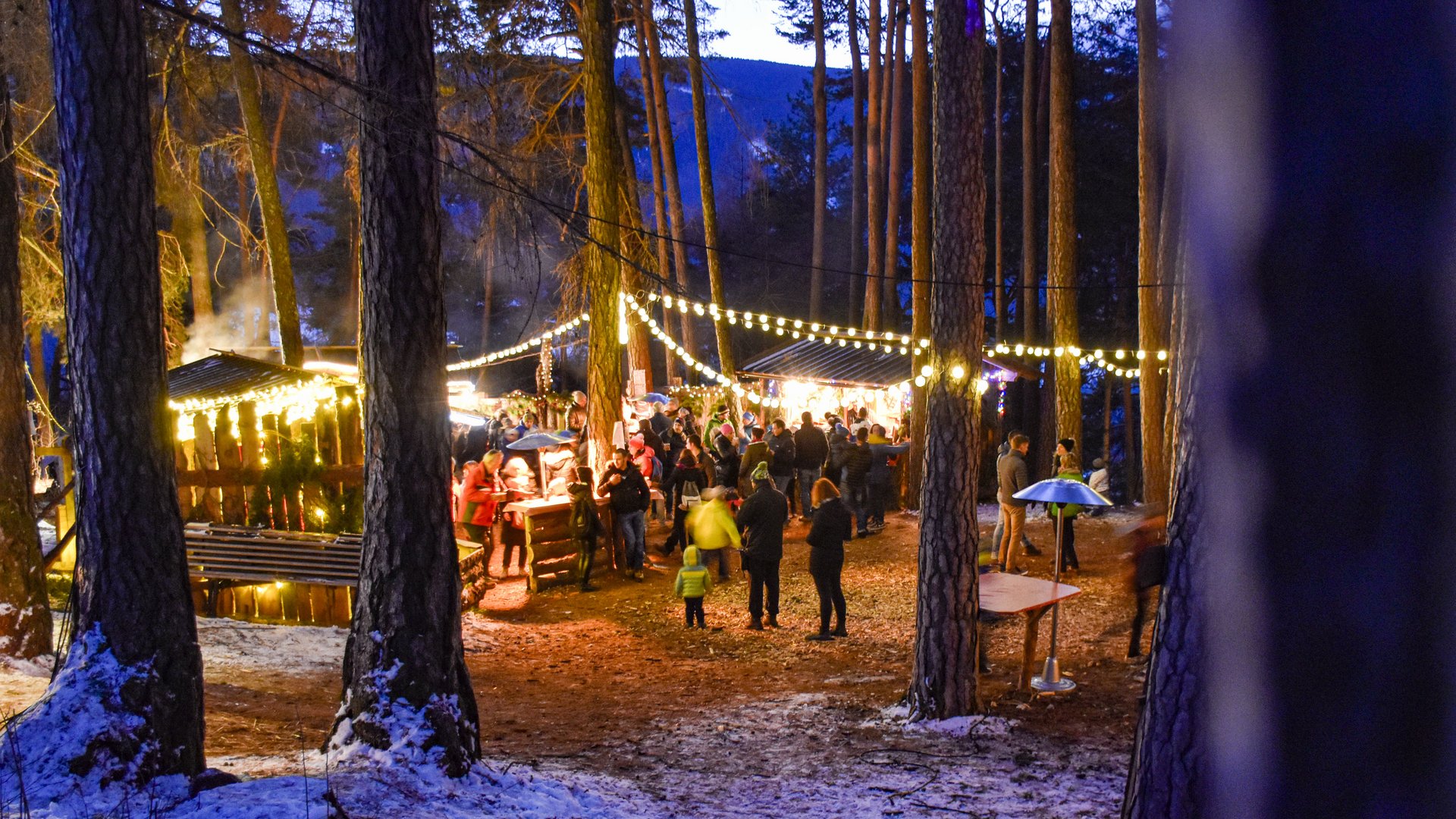Advent in Terenten The image shows a Christmas market in a forest, decorated with string lights. People stand in front of illuminated wooden stalls, while the ground is lightly covered with snow and tall trees surround the scene.
