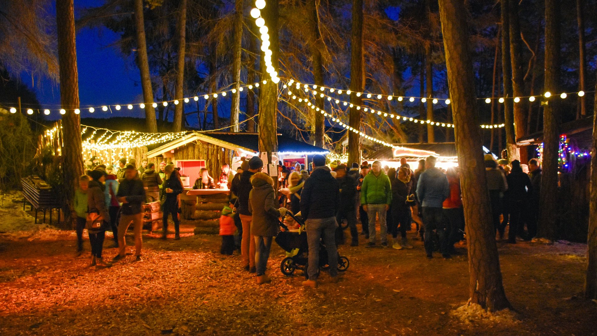 Advent in Terenten The picture shows a Christmas market in the forest, decorated with strings of lights. Many people are standing in front of illuminated wooden huts, enjoying the festive atmosphere at dusk.