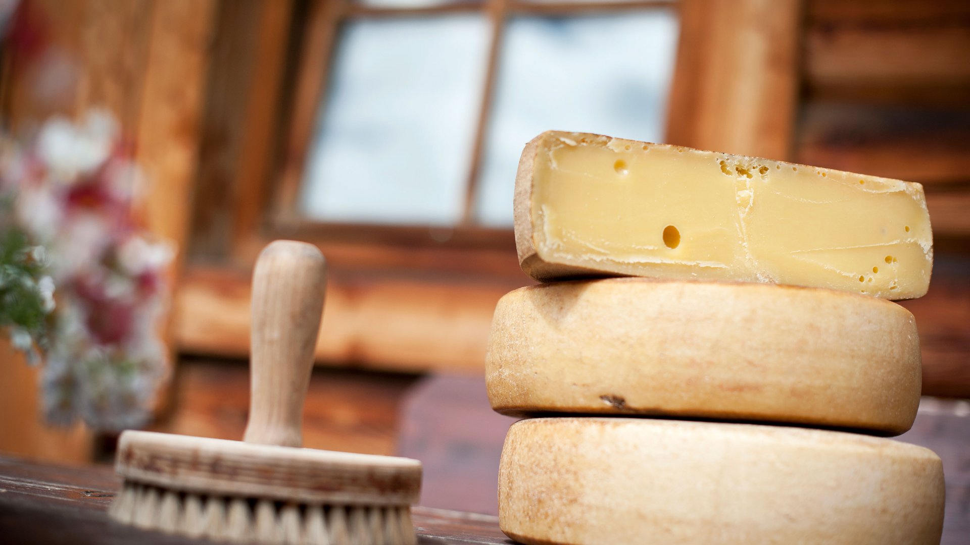 Fane Alm – South Tyrol’s most idyllic Alpine village The picture shows several cheese wheels, one of which is cut, allowing to see the yellow interior with some holes. Next to it lies a round brush on a wooden table, and in the background a window is visible out of focus.