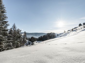 Terenten in het Pustertal Terenten in het Pustertal