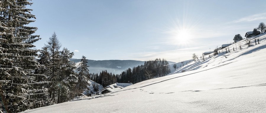 The Gitschberg webcams Snowy winter landscape with houses and trees under bright sun