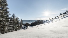 Terenten im Pustertal Verschneite Winterlandschaft im Sonnenlicht mit Häusern und Tannenbäumen