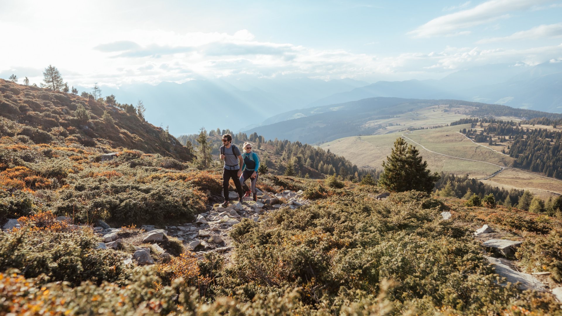 De mooiste wandelroutes in de Dolomieten De foto toont twee wandelaars, een man en een vrouw, die langs een rotsachtig pad in een heuvelachtig landschap lopen. Ze worden omringd door lage, struikachtige begroeiing, en op de achtergrond strekt zich een uitgestrekt, bebost landschap uit met zachte heuvels onder een heldere, blauwe lucht.