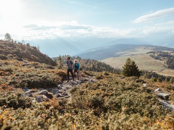 Rodeneck: idyllisches Wanderparadies Das Bild zeigt zwei Wanderer, einen Mann und eine Frau, die einen felsigen Pfad in einer hügeligen Landschaft entlanggehen. Sie sind von niedrigem, buschigem Bewuchs umgeben, und im Hintergrund erstreckt sich eine weite, bewaldete Landschaft mit sanften Hügeln unter einem hellen, klaren Himmel.