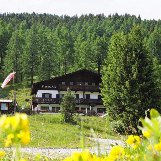 Kiener Alm "Kiener Alm" stojí v zelené, zalesněné krajině. V popředí je vidět vlajka a žluté květiny.