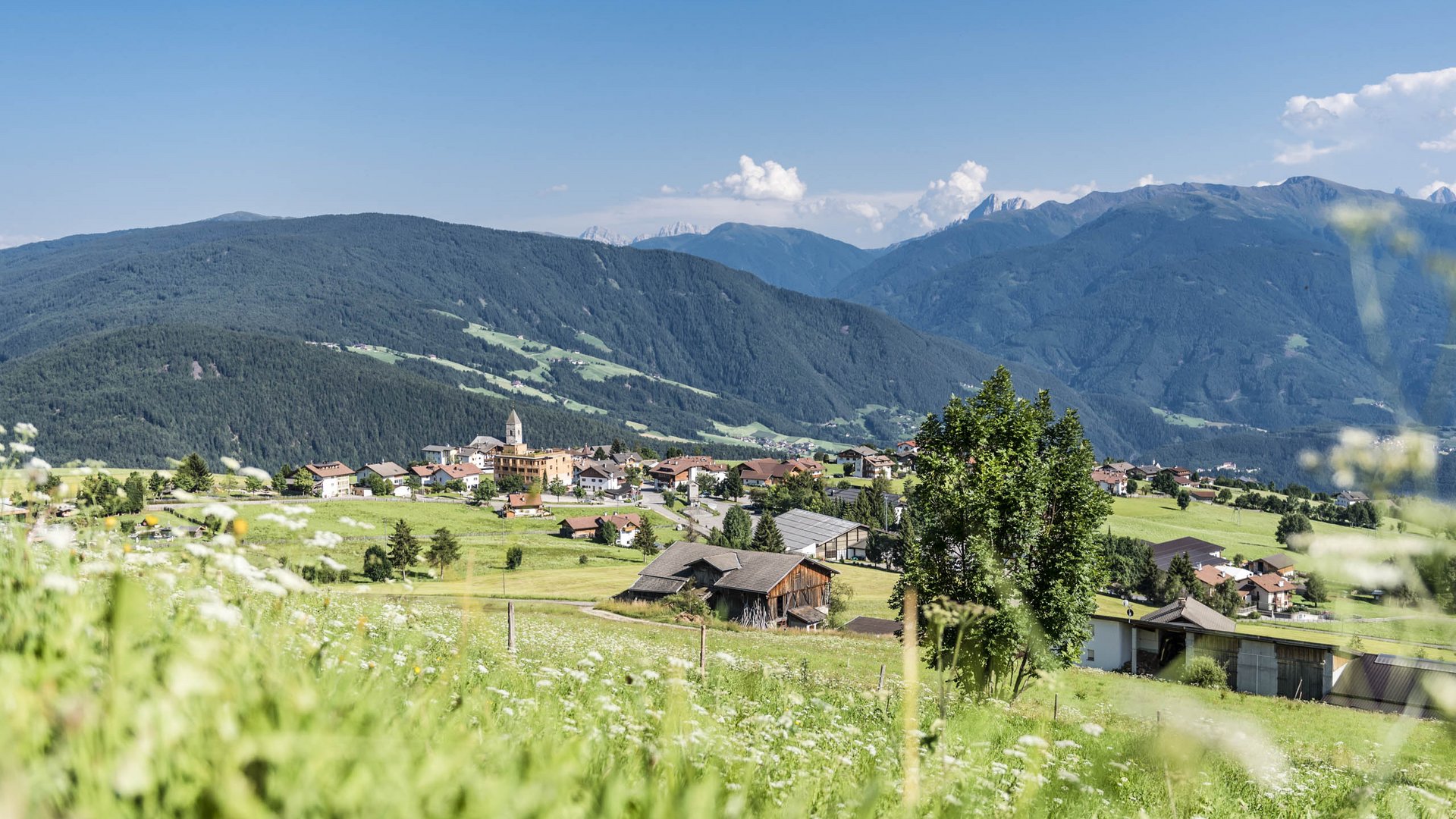 The mountain village of Meransen The picture shows a picturesque village amidst a green, hilly landscape with meadows and scattered houses. In the background, forested mountains and a clear blue sky are visible, while in the foreground wildflowers and grasses grow. A church with a pointed tower stands prominently in the village center.