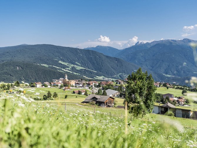 The Alpine hamlet of Spinges The picture shows a picturesque village amidst a green, hilly landscape with meadows and scattered houses. In the background, forested mountains and a clear blue sky are visible, while in the foreground wildflowers and grasses grow. A church with a pointed tower stands prominently in the village center.