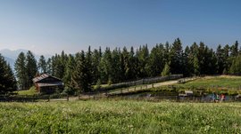 Wandern in Terenten/Pustertal Grüne Almwiese mit Holzhaus, Teich und Wanderern unter blauem Himmel