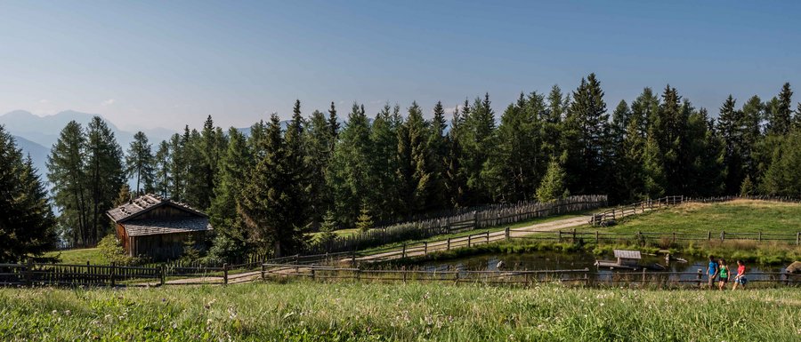 The Gitschberg webcams Green meadow with wooden cabin, pond and hikers under clear blue sky