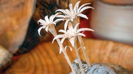 Tearna Advent Drei geschnitzte Holzblumen auf einem Stück Holz