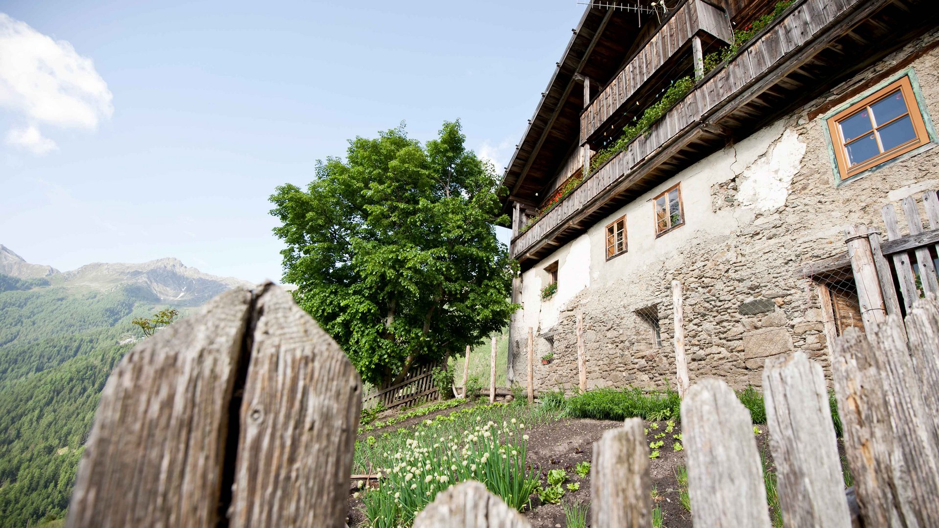 De Pfunderer Höfeweg De afbeelding toont een rustiek, oud gebouw met een stenen gevel en houten balkons. Op de voorgrond is een houten hek te zien dat een kleine tuin met groene groenten of planten omsluit. Op de achtergrond zijn groene heuvels en een grote boom zichtbaar.
