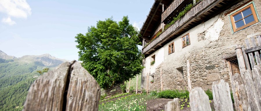 The Gitschberg webcams The picture shows a rustic, old building with a stone facade and wooden balconies. In the foreground, there is a wooden fence enclosing a small garden with green vegetables or plants. In the background, green hills and a large tree are visible.